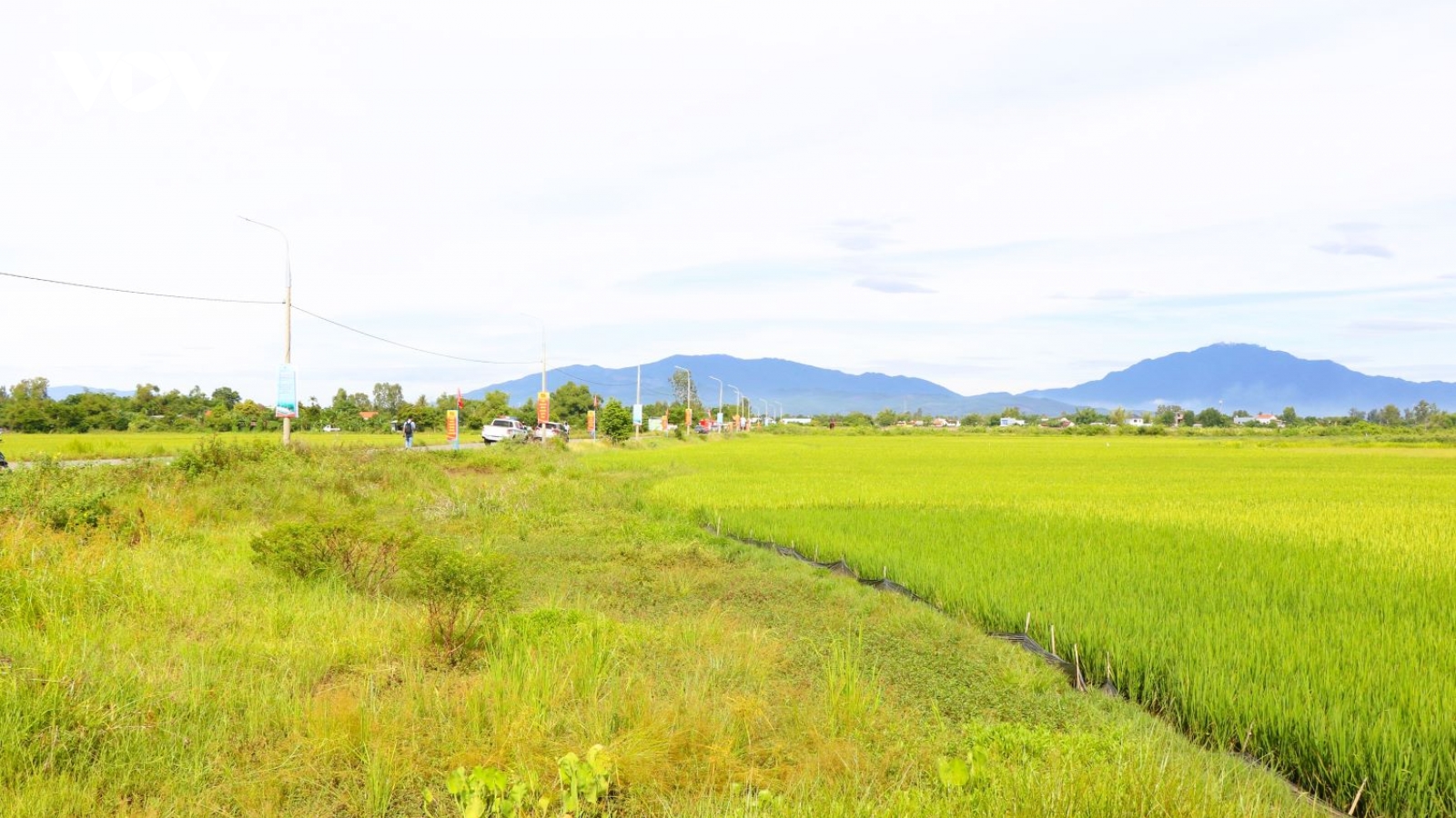 Đà Nẵng: “Đi từng ngõ” chuẩn hóa cơ sở dữ liệu đất đai